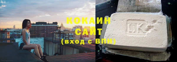 стаф Нея