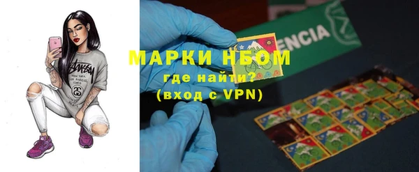 стаф Нея