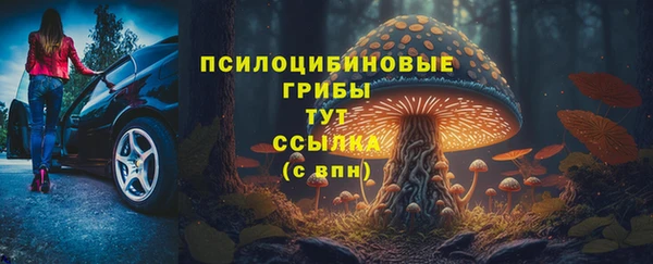 стаф Нея