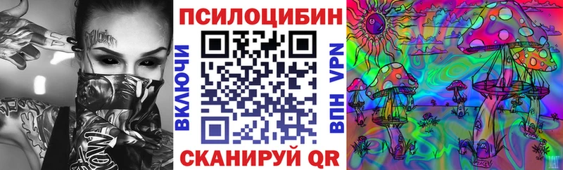Галлюциногенные грибы Psilocybe Мурино