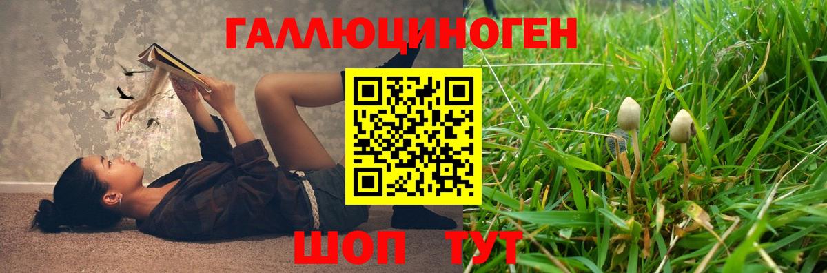 где найти   Псилоцибиновые грибы MAGIC MUSHROOMS  Вход с VPN  Мурино 